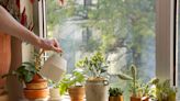 Having a Plant Ledge Could Help Your Home Sell Faster, According to Zillow