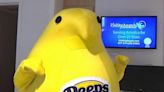 'Did a few dance moves': Peeps mascot surprises patients at Lehigh Valley Reilly Children's Hospital