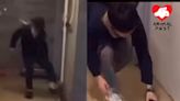 網上影片有中學生腳踩追趕虐貓 貓貓疑受驚墮樓