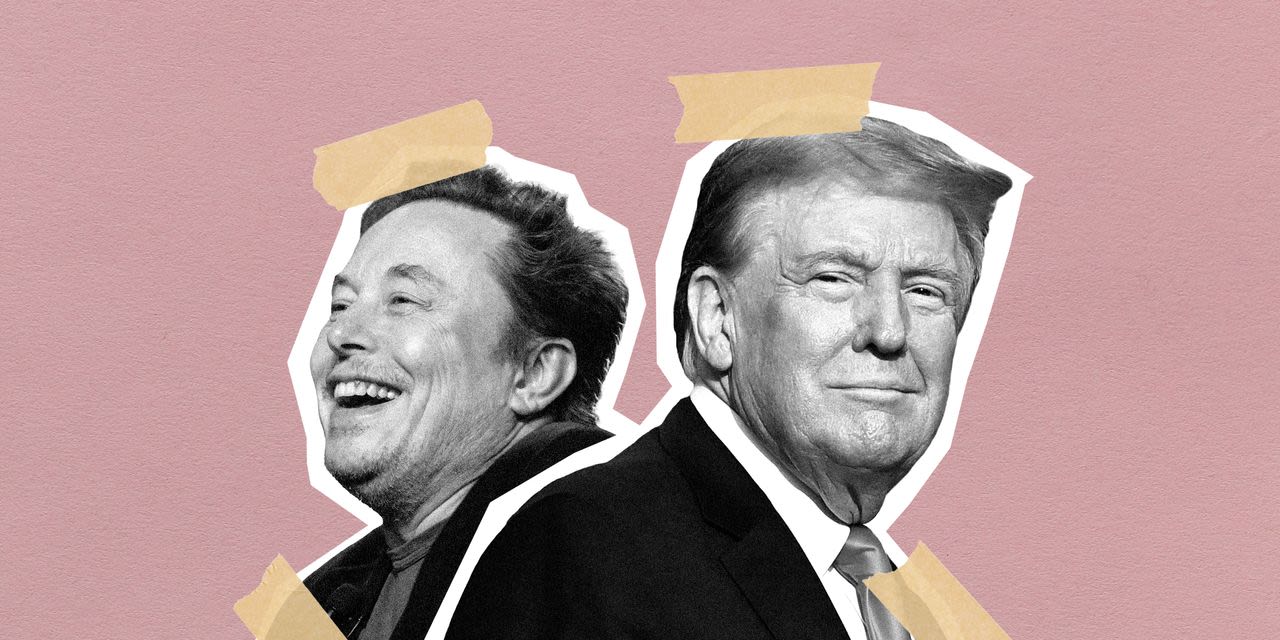 Inside Donald Trump and Elon Musk’s Growing Alliance