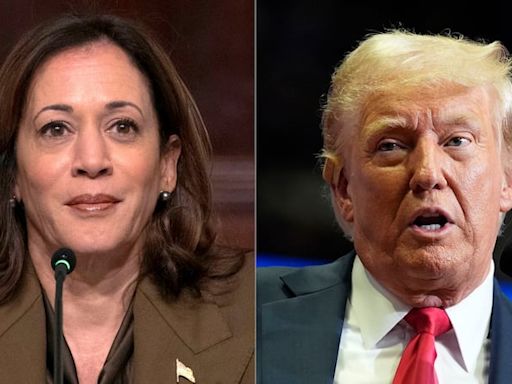 Harris vs. Trump: What do the polls tell us about an unprecedented presidential race?