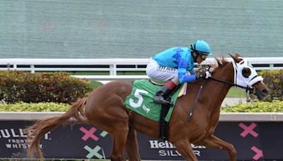 Gun Song Proves Deserving Favorite In Black-Eyed Susan