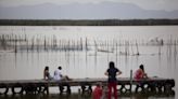 El Consell acusa a la Confederación del Júcar de actuar 'de forma trilera' con el agua para l'Albufera