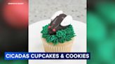 Deerfields Bakery and Cafe joins cicada buzz with bug-inspired cookies, cupcakes