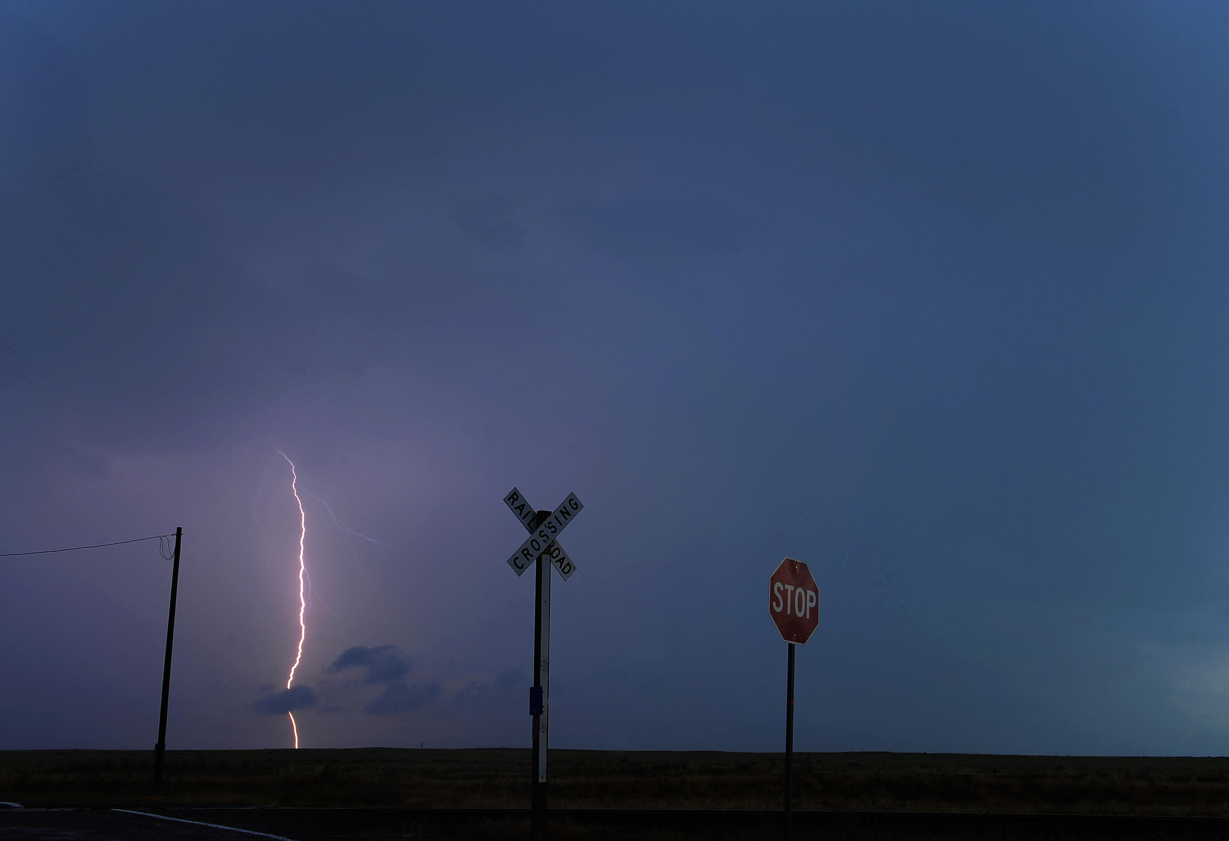 Colorado man and 34 cows struck and killed by lightning in Jackson County