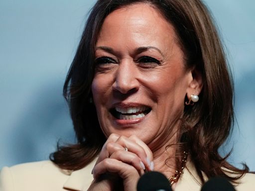 Arab Americans ‘listening’ as Kamala Harris working towards convincing them of her leadership