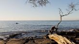 Man injured in shark attack at Hawaii beach