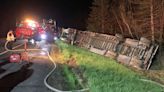 Truck carrying millions of bees crashes on New England highway