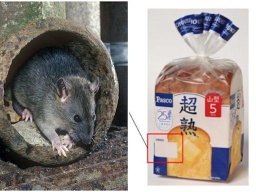 日本超熟吐司爆食安問題 驚見5公分大「黑鼠屍體」！召回10萬袋吐司