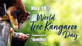 What's Happening: World Tree Kangaroo Day and 'Fire and Ice' performance