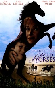 Touching Wild Horses