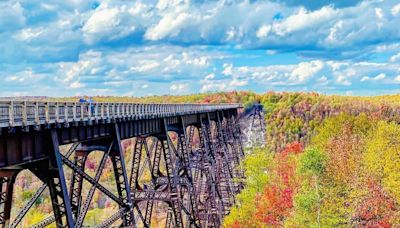 Maintenance on Kinzua Bridge planned; closures to be announced later this summer