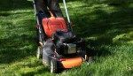 This Is the Appropriate Grass-Cutting Height for Your Lawn, According to Experts