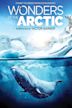 Wonders of the Arctic