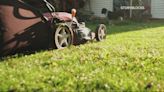 Tips for making sure your lawn survives a heat wave