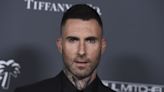 Adam Levine denies affair but admits he 'crossed the line' with model Sumner Stroh