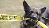 Valuable resource: Panama City Beach accepts $1 million grant for new K9 facility.