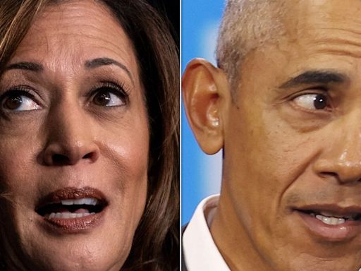 Fox Business Guest Accuses Media Of Trying To ‘Sell’ Kamala Harris As ‘Obama In A Skirt’