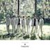 Complete (BtoB album)