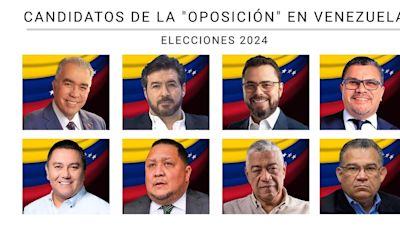 Quiénes son los 8 candidatos que le hacen el juego a Maduro en busca de dividir el voto opositor