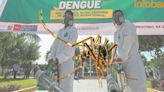 Dengue en Perú: ¿Cuál es el plan de emergencia del Minsa para evitar que muertes y contagios sigan en aumento?