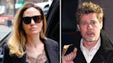 Angelina Jolie and Brad Pitt's Plane Incident: What Happened