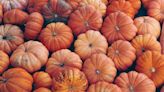 One Pumpkin Pathogen Is so Successful It's Stopped Evolving, Say Scientists