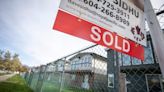 Canada's housing market up compared to last month but down compared to last year | CBC News