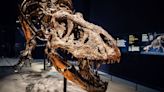 The evolutionary twist that could have helped dinosaurs rule Earth
