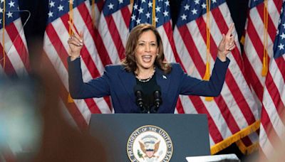 The ONLY thing that matters to diversity-obsessed Left is that Kamala is female