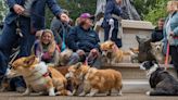 Britain Memorializes a Queen, With Smiles and Bronze Corgis