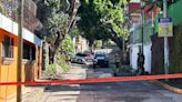 Fiscalía decomisa leones, drogas y armas tras cateo de residencia en Cuernavaca | El Universal