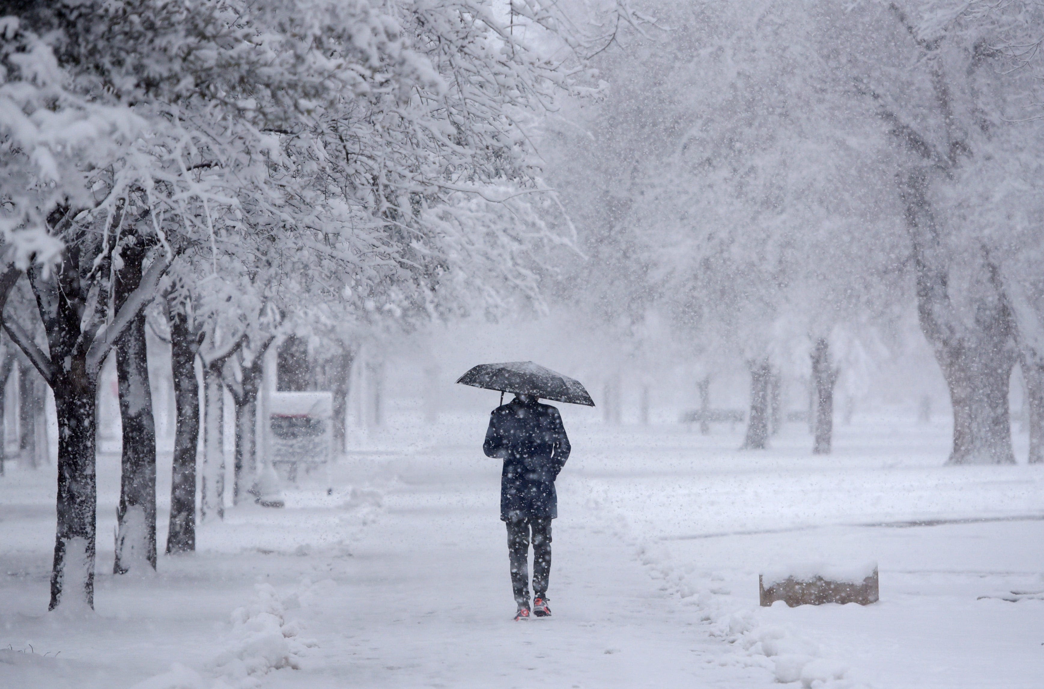 Will Texas freeze again in 2024? Here's what the Farmers' Almanac winter forecast predicts