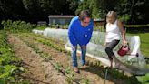 Toxic garlic should have prompted EPA to warn against gardening near Ohio derailment, watchdog says - WTOP News