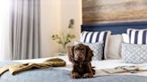 The best dog-friendly hotels in the UK