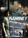 Kaminey