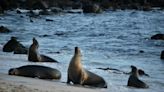 El biobanco que guarda el tesoro genético de las Islas Galápagos