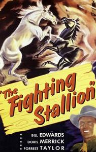 The Fighting Stallion