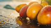 Cómo usar la cáscara de mango para reducir los niveles de azúcar en la sangre