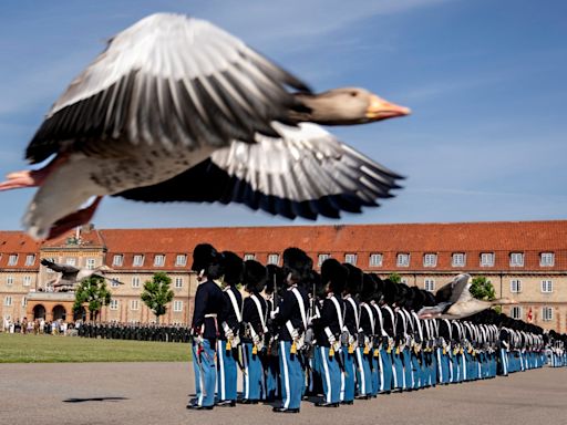 Snap! Evening Standard: Best Photos of the Day from around the world