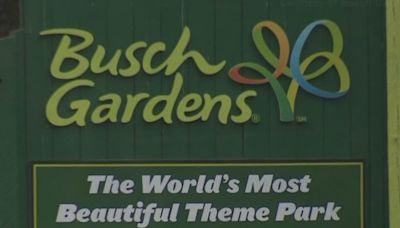 Fight breaks out in line for Busch Gardens’ Pantheon, police say