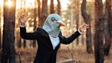 A UK zoo will pay people to dress as birds and chase away seagulls