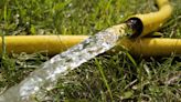 How to Choose the Right Garden Hose: A Step-by-Step Guide