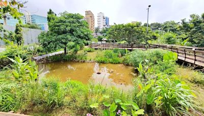 Mumbai: BMC Unveils New Urban Park Along Mithi River in Marol to Enhance Green Spaces, Launches Citywide Tree Plantation...