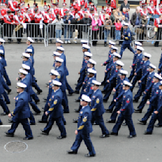 Attend a Memorial Day Parade