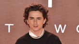 Timothee Chalamet joins Marty Supreme movie