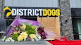 District Dogs doggy day care announces new CEO after tumultuous year