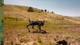 Robot dogs armed with AI-targeting rifles undergo US Marines Special Ops evaluation