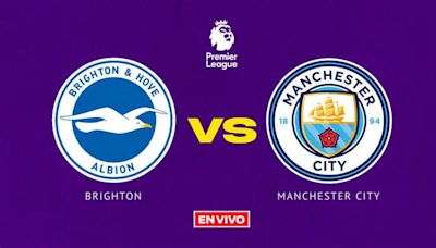 Brighton and Hove vs Manchester City EN VIVO Premier League Jornada 29