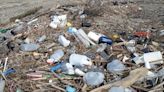 Tons of plastic trash litters Great Lakes beaches. Why not hold manufacturers responsible?